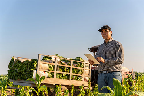 man standing in a plant field while holding a clipboard
